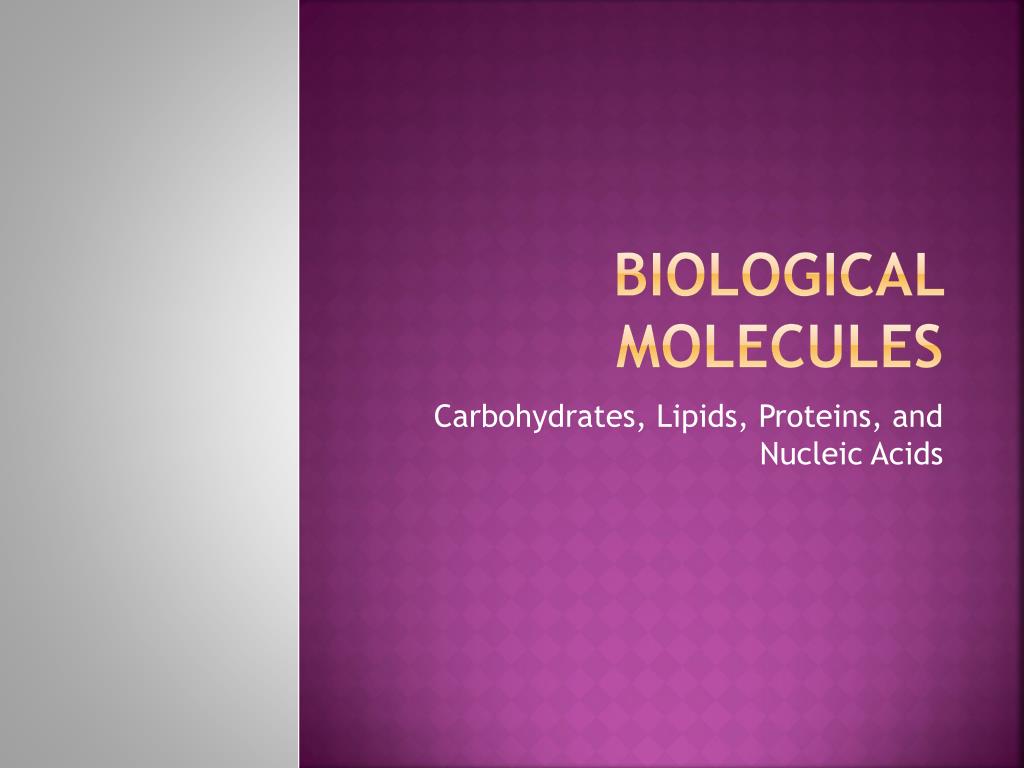 PPT Biological molecules PowerPoint Presentation, free download ID
