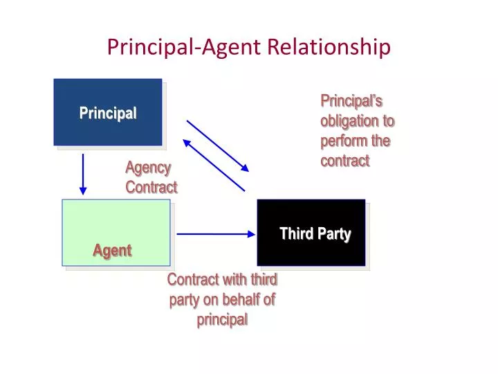 principal agent relationship n.