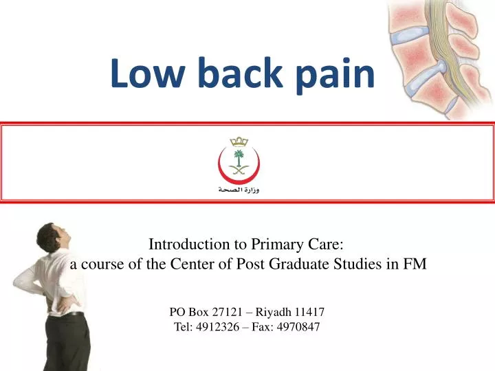 PPT - Low Back Pain PowerPoint Presentation, Free Download - ID:2628984