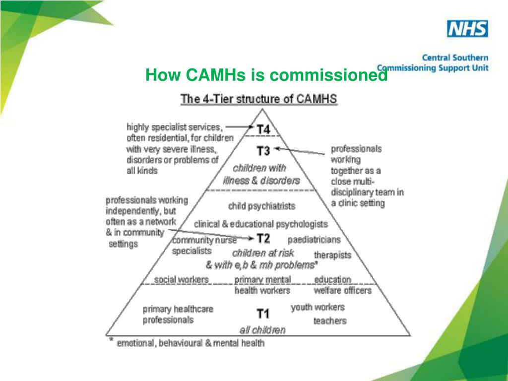 PPT - Sally Murray Head of Children’s Commissioning Support Berkshire ...
