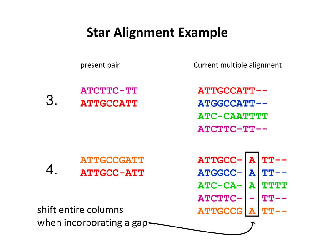 multiple alignment multiple alignment