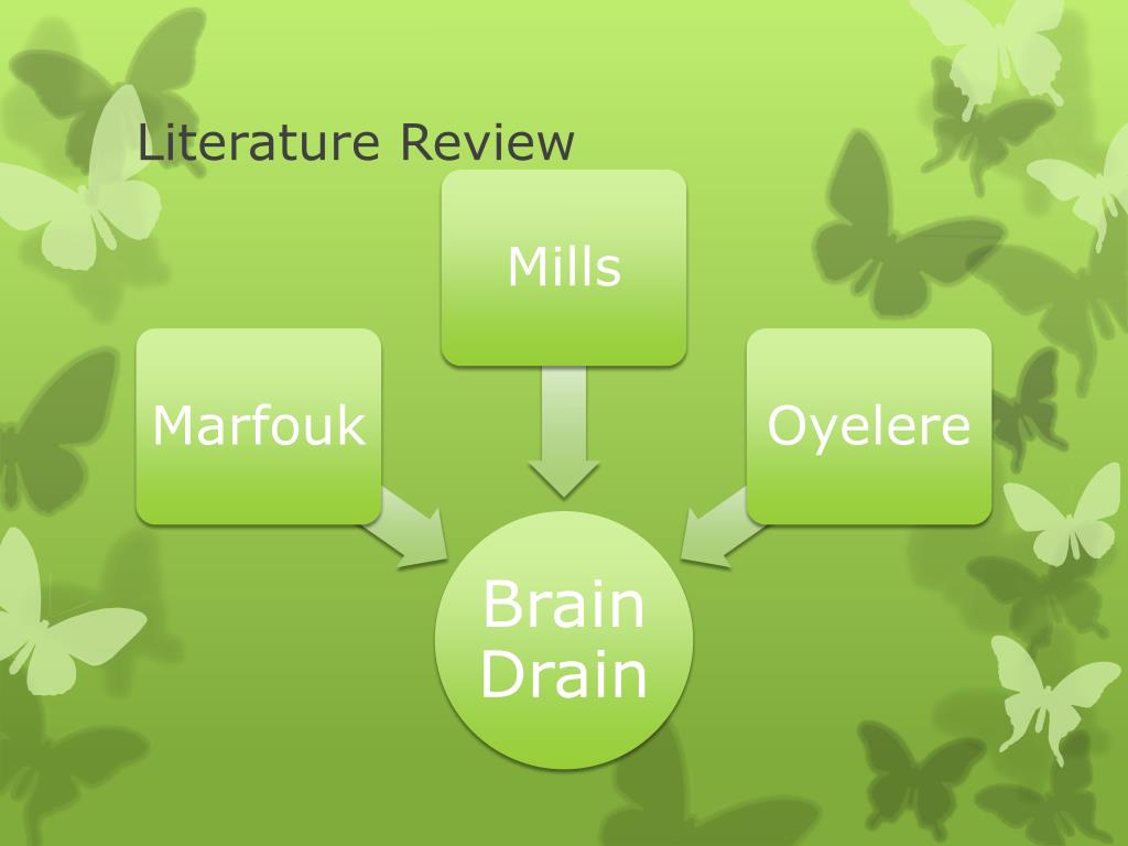 literature review brain drain