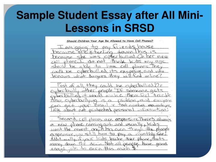 personal essay mini lessons personal essay mini lessons
