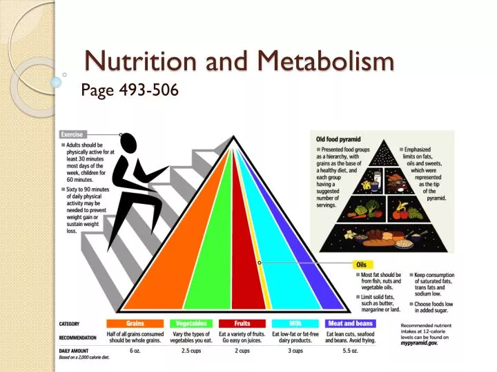 nutrition and metabolism essay