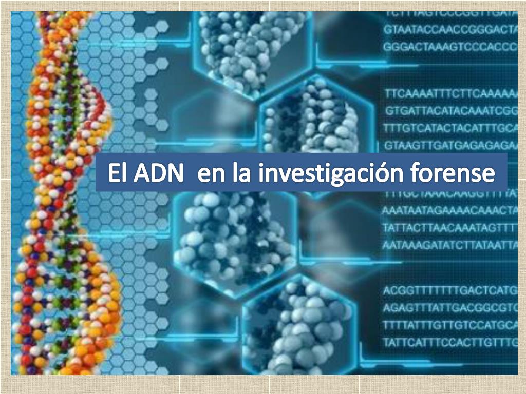 PPT - El ADN en la investigación forense PowerPoint Presentation, free