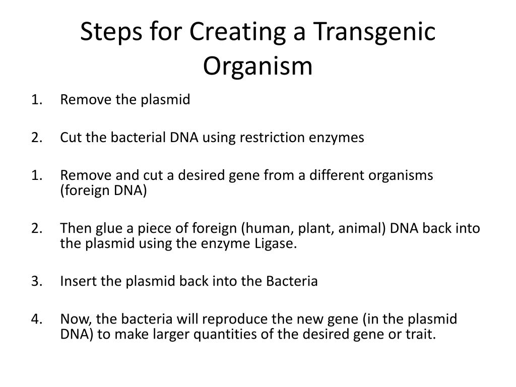 A Transgenic Organism Is: / Transgenic Organisms Genetics Generation : The genetic modification ...