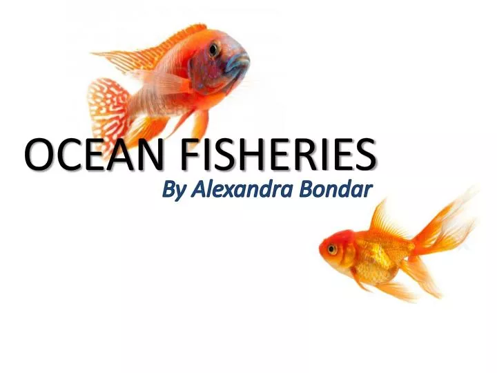 PPT Ocean Fisheries PowerPoint Presentation Free Download ID 2637333