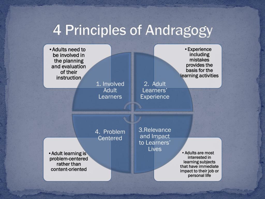 PPT Andragogy PowerPoint Presentation Free Download ID 2637407 ppt-andragogy-powerpoint-presentation-free-download-id-2637407