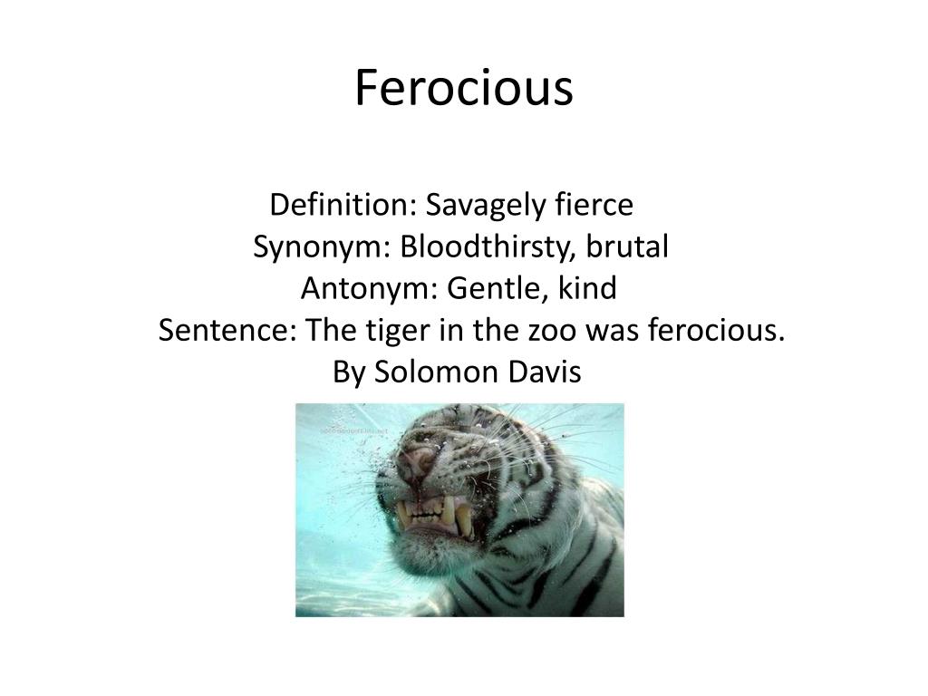 PPT Ferocious PowerPoint Presentation Free Download ID 2637707 ppt-ferocious-powerpoint-presentation-free-download-id-2637707