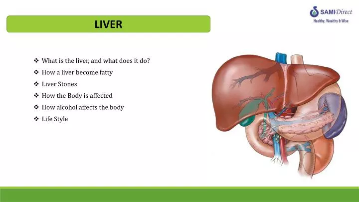 PPT LIVER PowerPoint Presentation Free Download ID 2637949