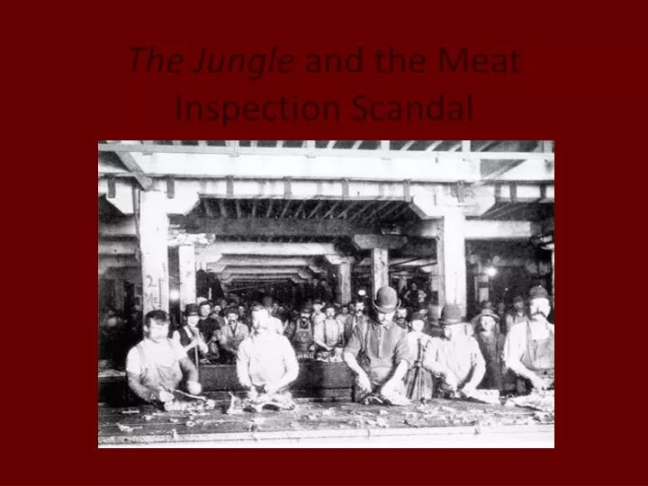 the jungle meat the jungle meat