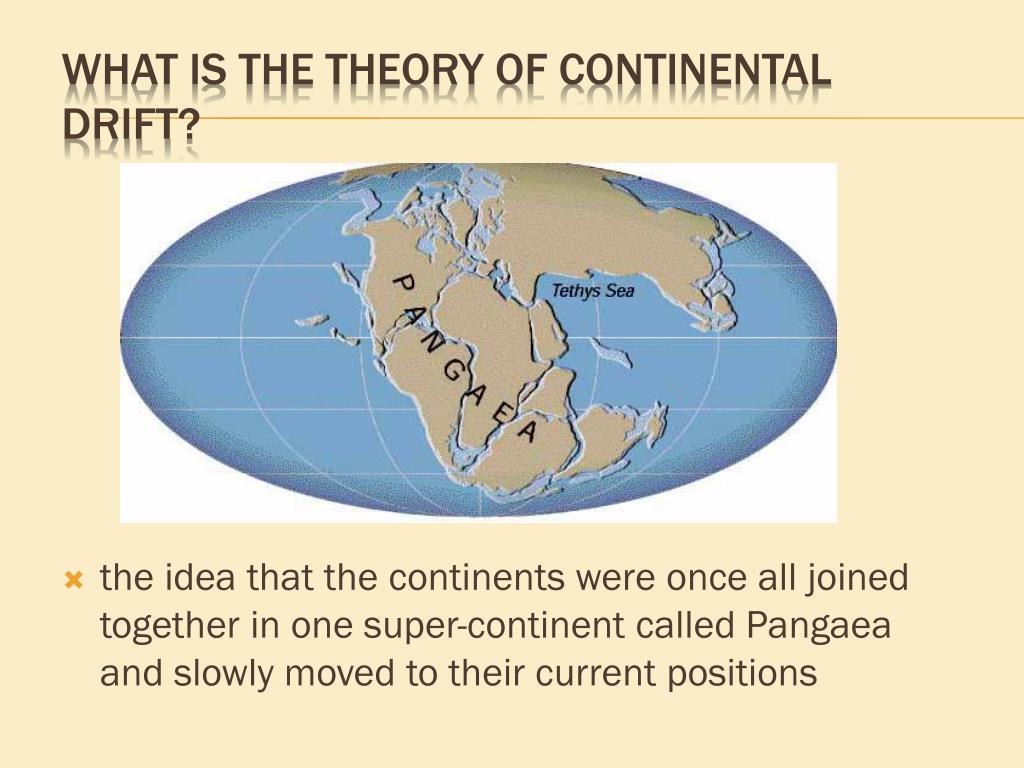 used to support the hypothesis of continental drift