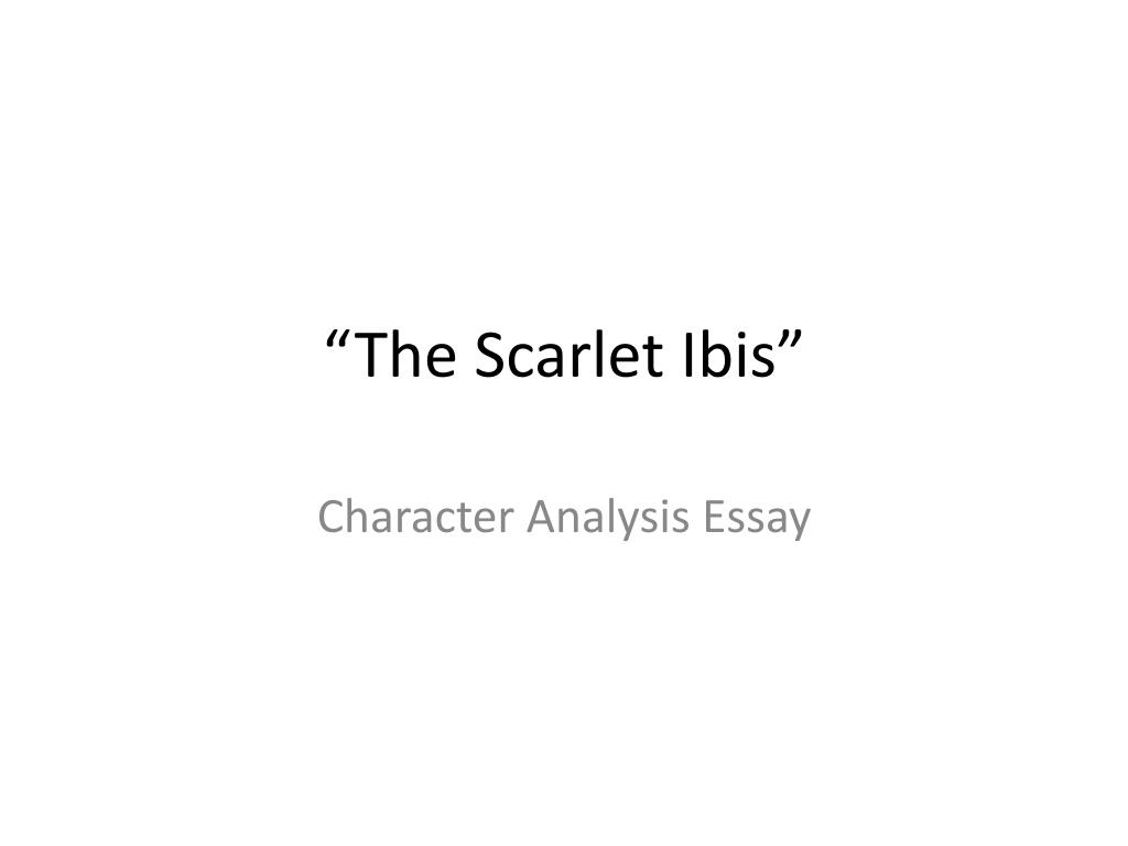 Article 92 Essay The Scarlet Ibis N The Cat Essay also Proposal For An Essay Ppt The Scarlet Ibis Powerpoint Presentation Id Essay Of Peace