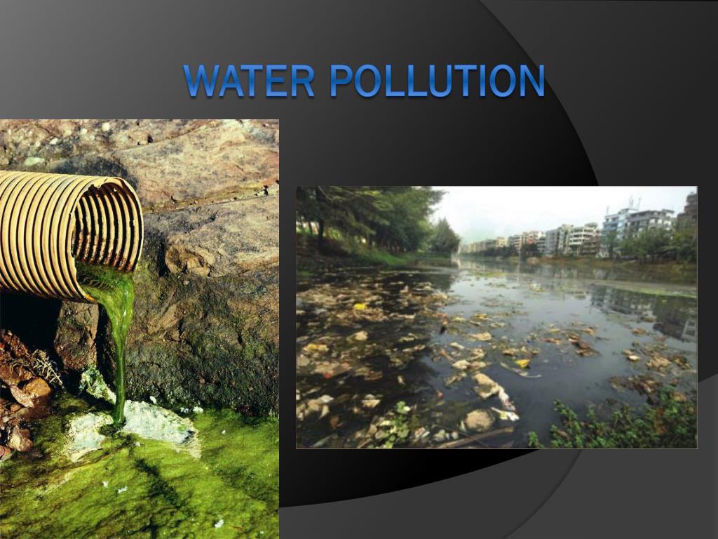 presentation on pollution of water