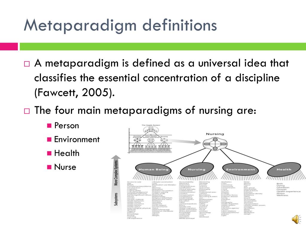 nursing metaparadigm definition