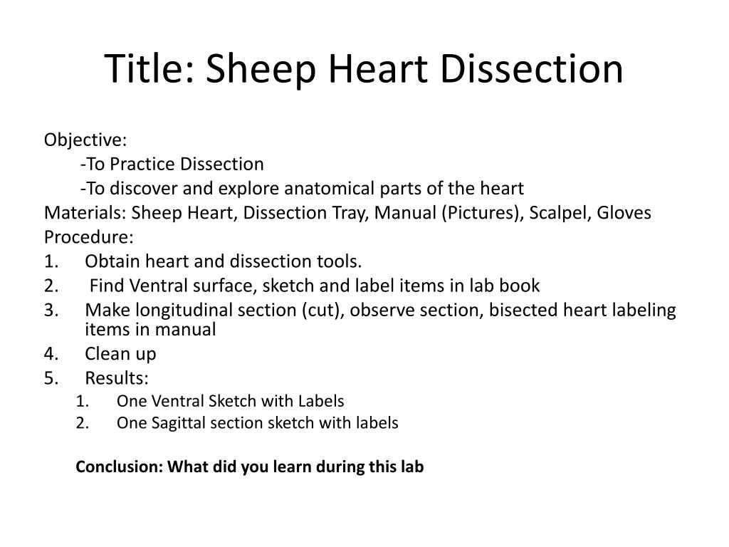 Sheep heart dissection pictures with labels