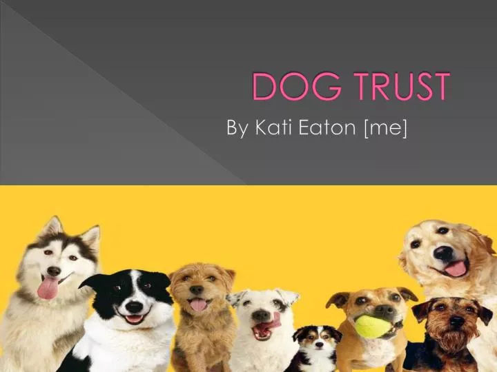 PPT DOG TRUST PowerPoint Presentation, free download ID2643328