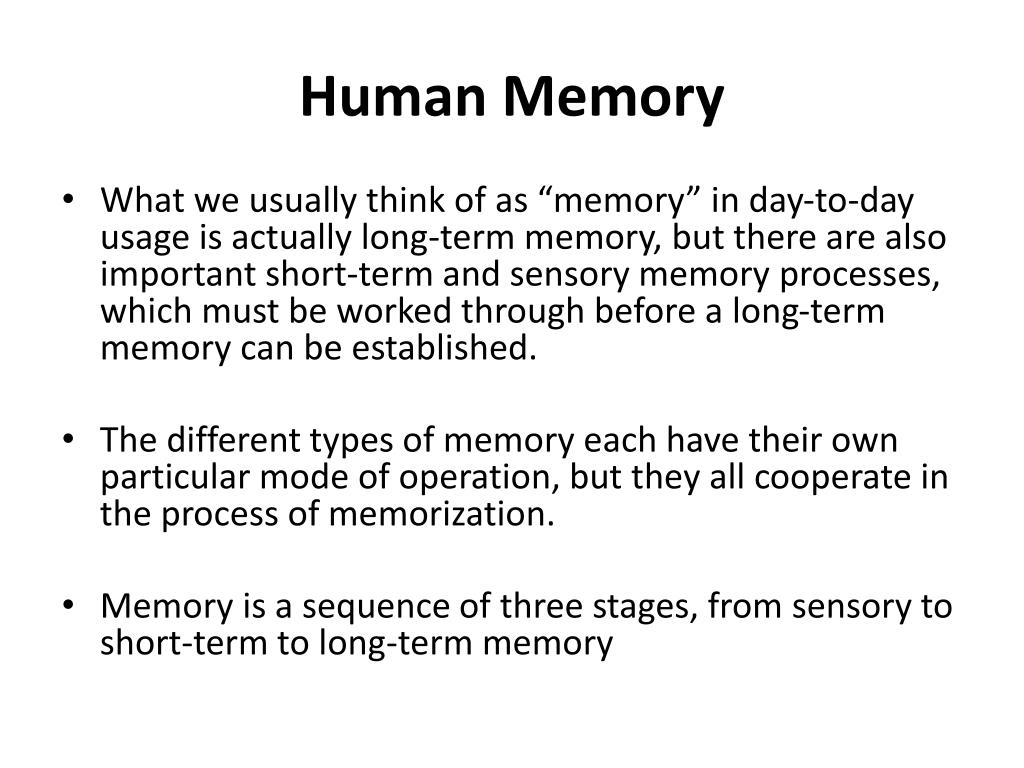 Ppt Human Memory Powerpoint Presentation Free Download Id 2643503