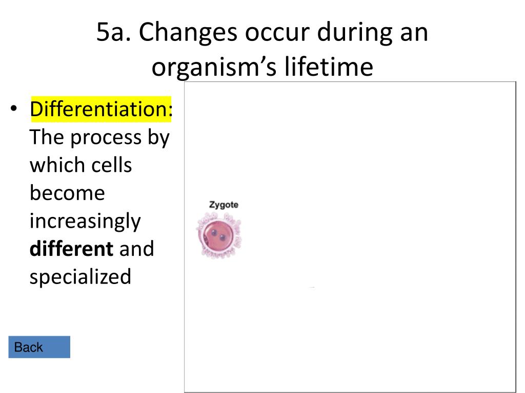PPT - Six Characteristics of Living Things PowerPoint Presentation ...