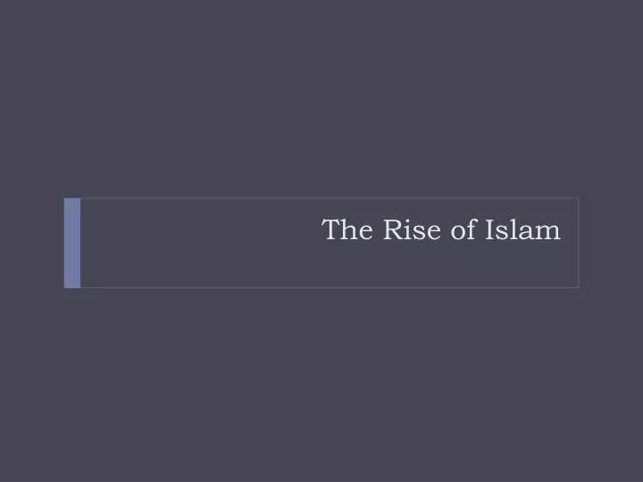 the rise of islam n.