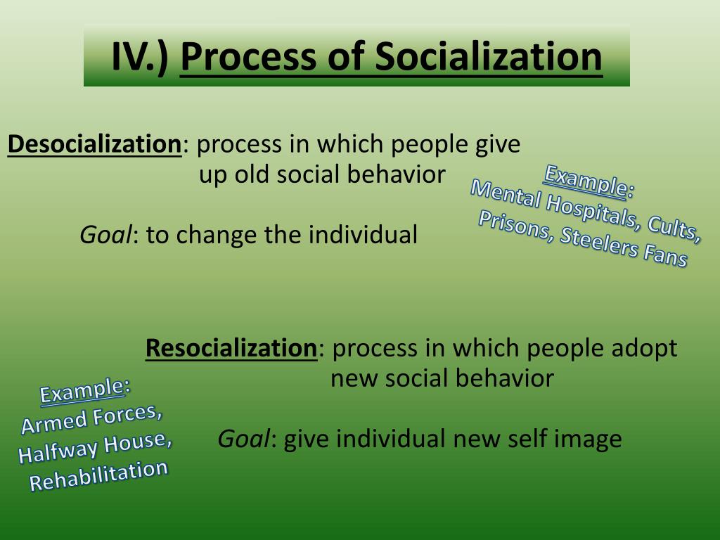 secondary social processes secondary social processes