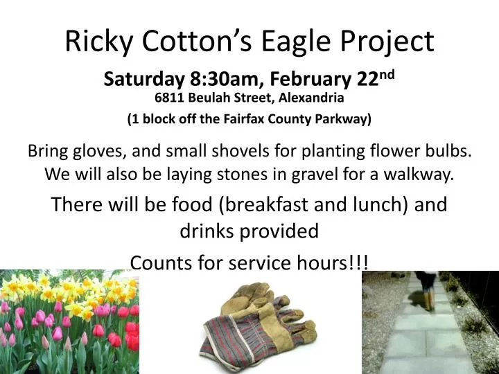 ricky cotton s eagle project n.