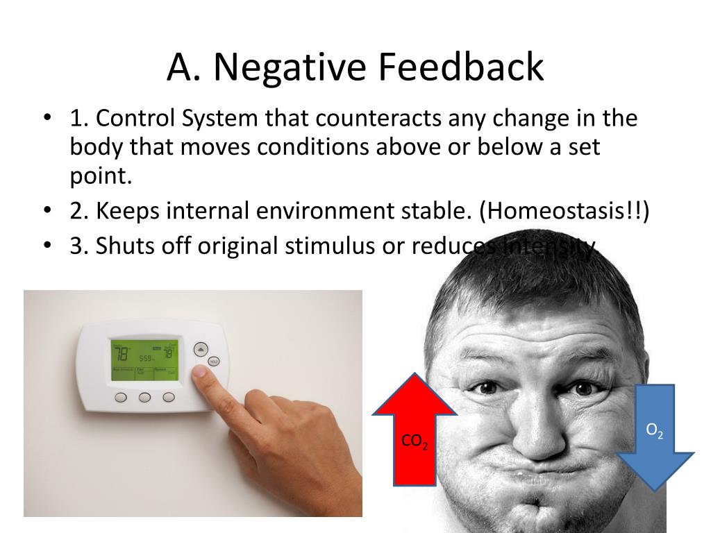 negative feedback examples of mechanism for students