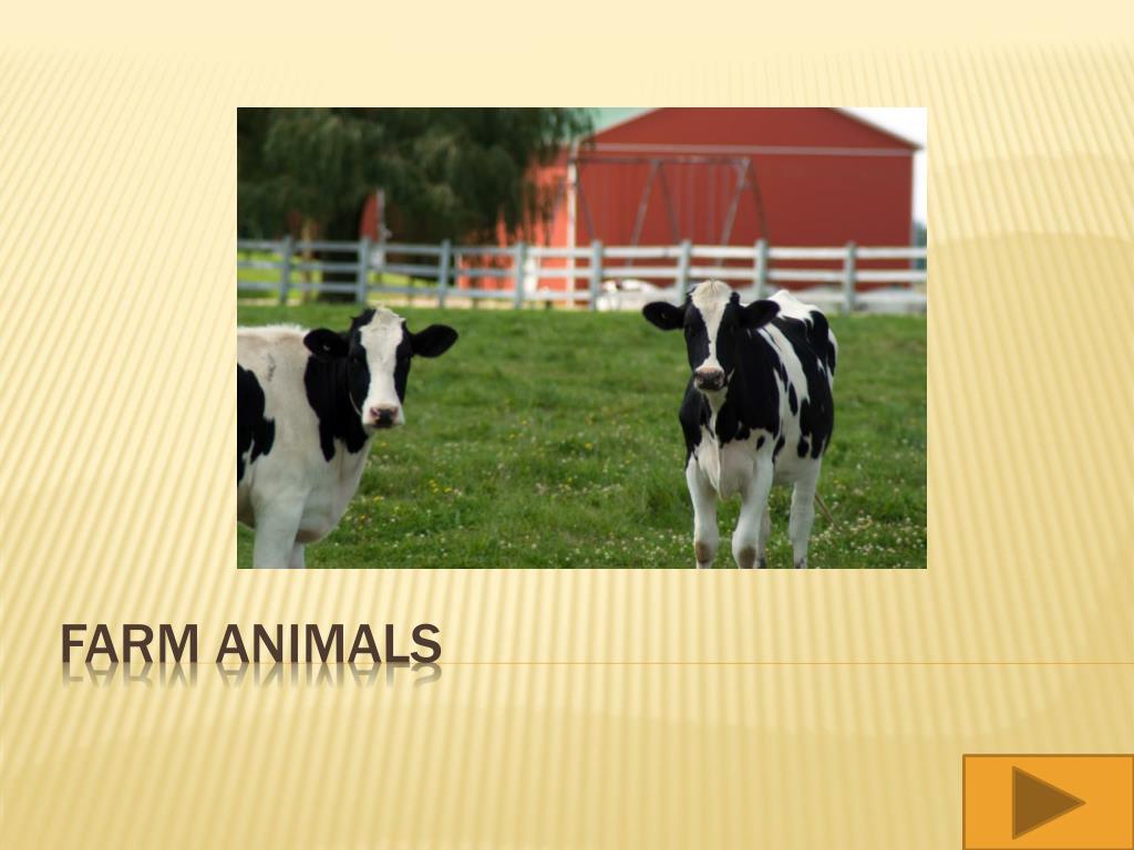 PPT - Farm Animals PowerPoint Presentation, free download - ID:2645658 PPT - Farm Animals PowerPoint Presentation, free download - ID:2645658