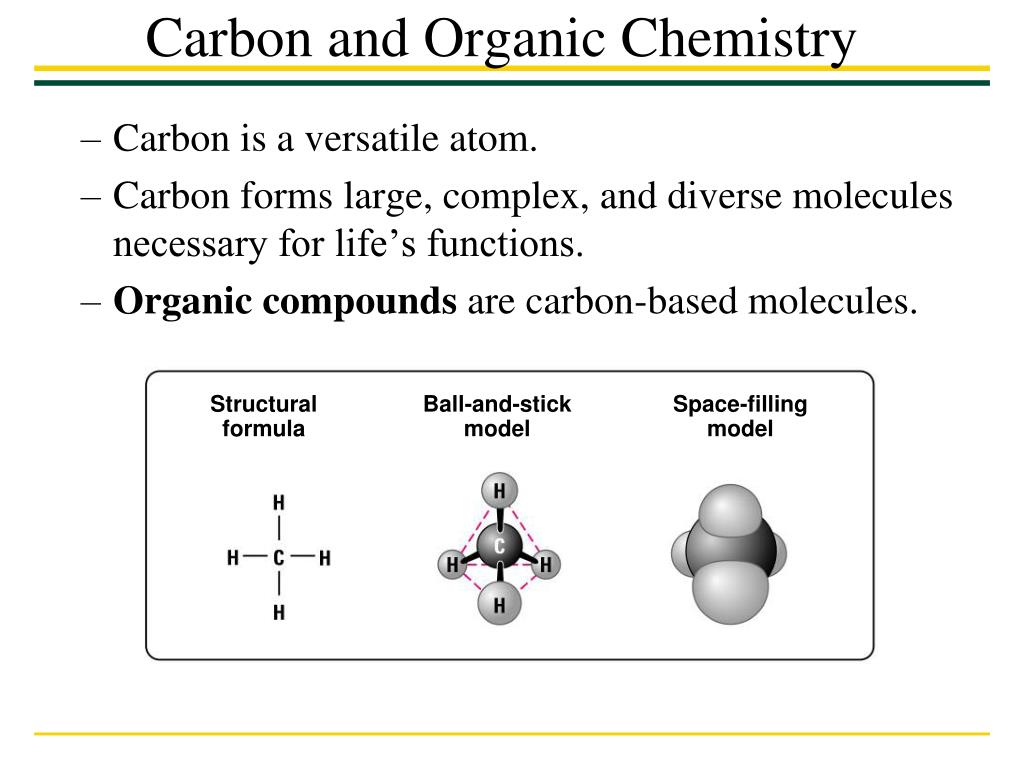 PPT - Carbon and Organic Chemistry PowerPoint Presentation, free download -  ID:2646376