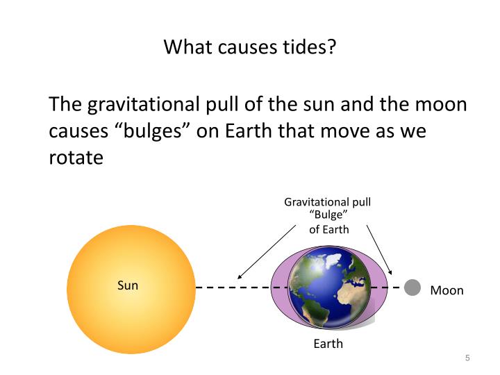 ppt tides powerpoint presentation id 2646974 what causes tides