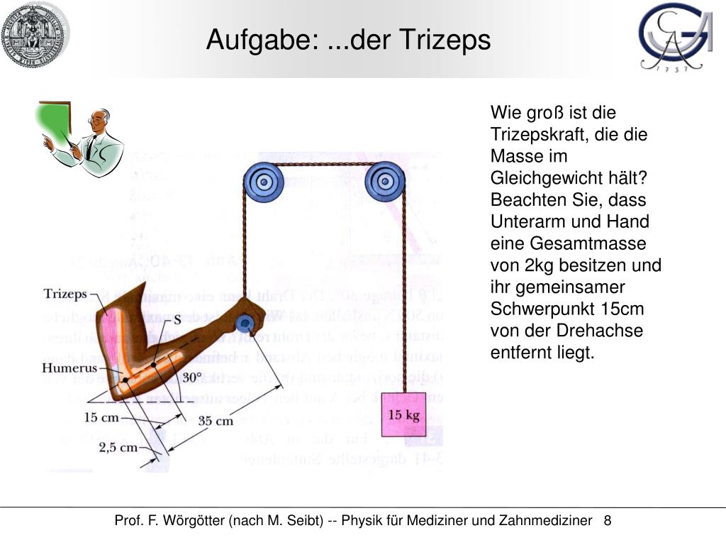 PPT - Physik für Mediziner und Zahmediziner PowerPoint ...