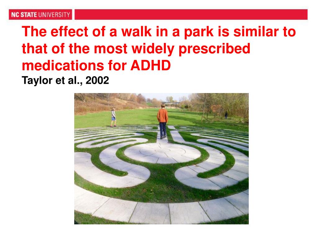 PPT - Role of Parks in Promoting the Health of Children and Communities ...