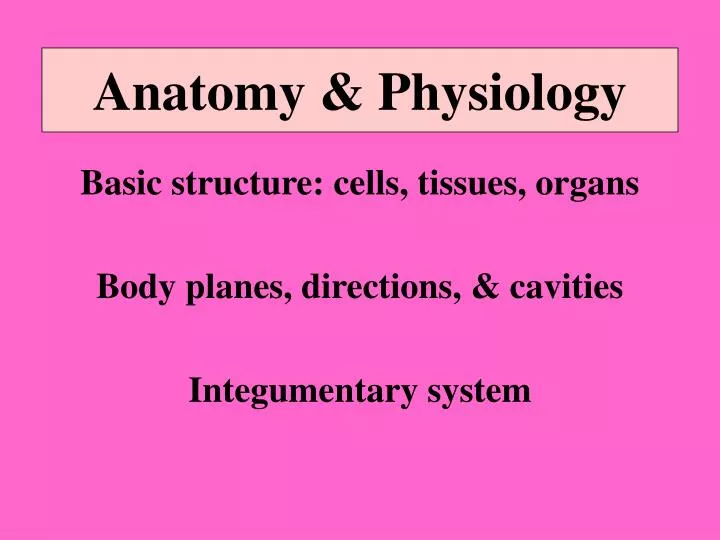 PPT Anatomy Physiology PowerPoint Presentation Free Download ID 