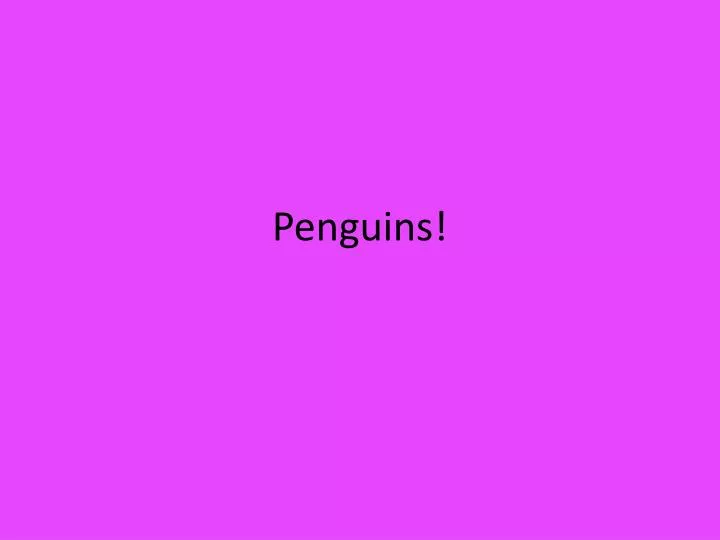penguins n.