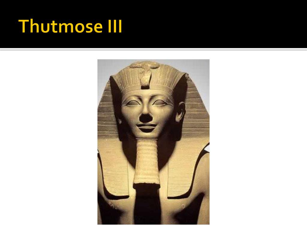 Тутмос 3 история 5 класс кратко. Фараоны Египта тутмос. Фараон тутмос 3. Тутмос -фараон завоеватель. Фараон тутмос 1.
