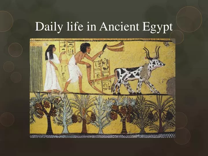 Ppt Daily Life In Ancient Egypt Powerpoint Presentation Free Download Id