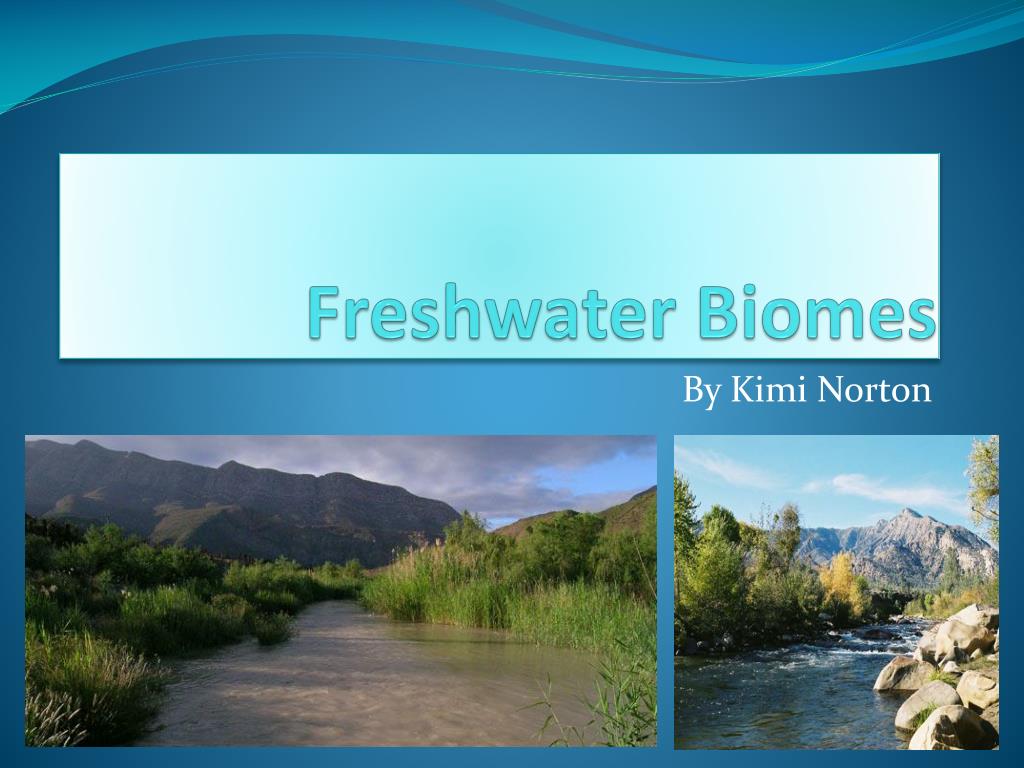 freshwater presentation