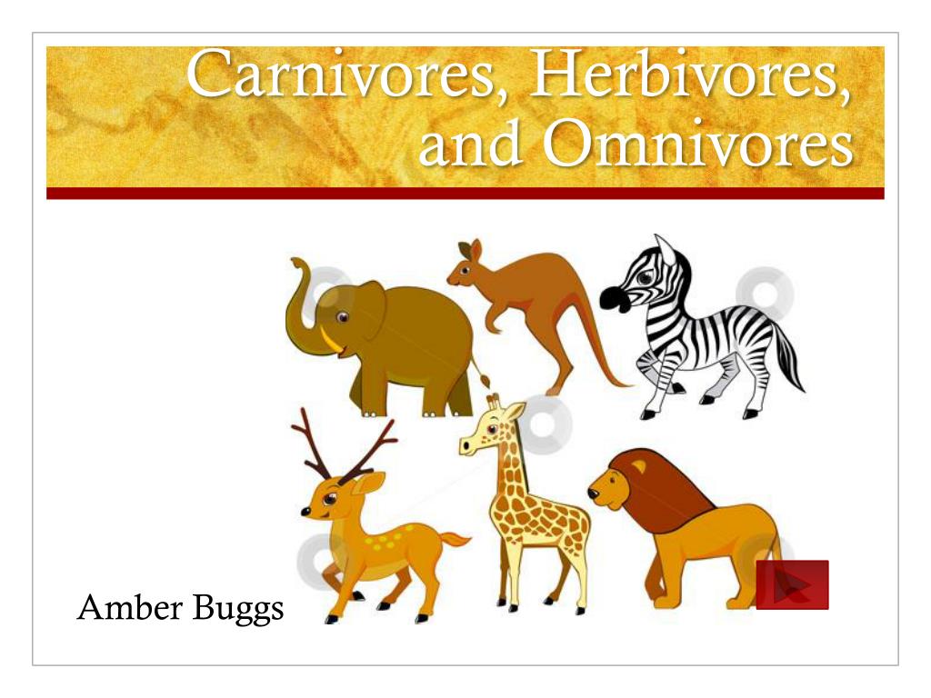 PPT - Carnivores, Herbivores, and Omnivores PowerPoint Presentation, free  download - ID:2657311