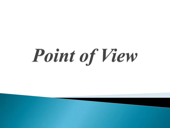 point of view n.