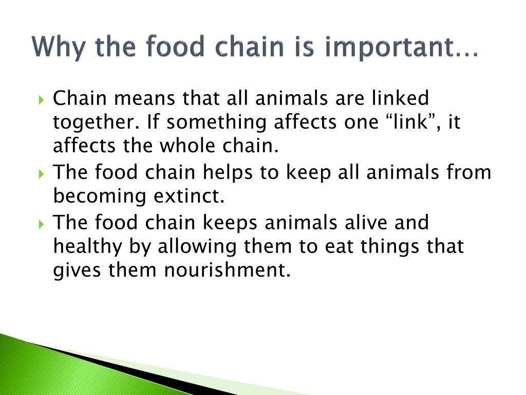 What is the food chain? PowerPoint Presentation, free download ... Biology Diagrams