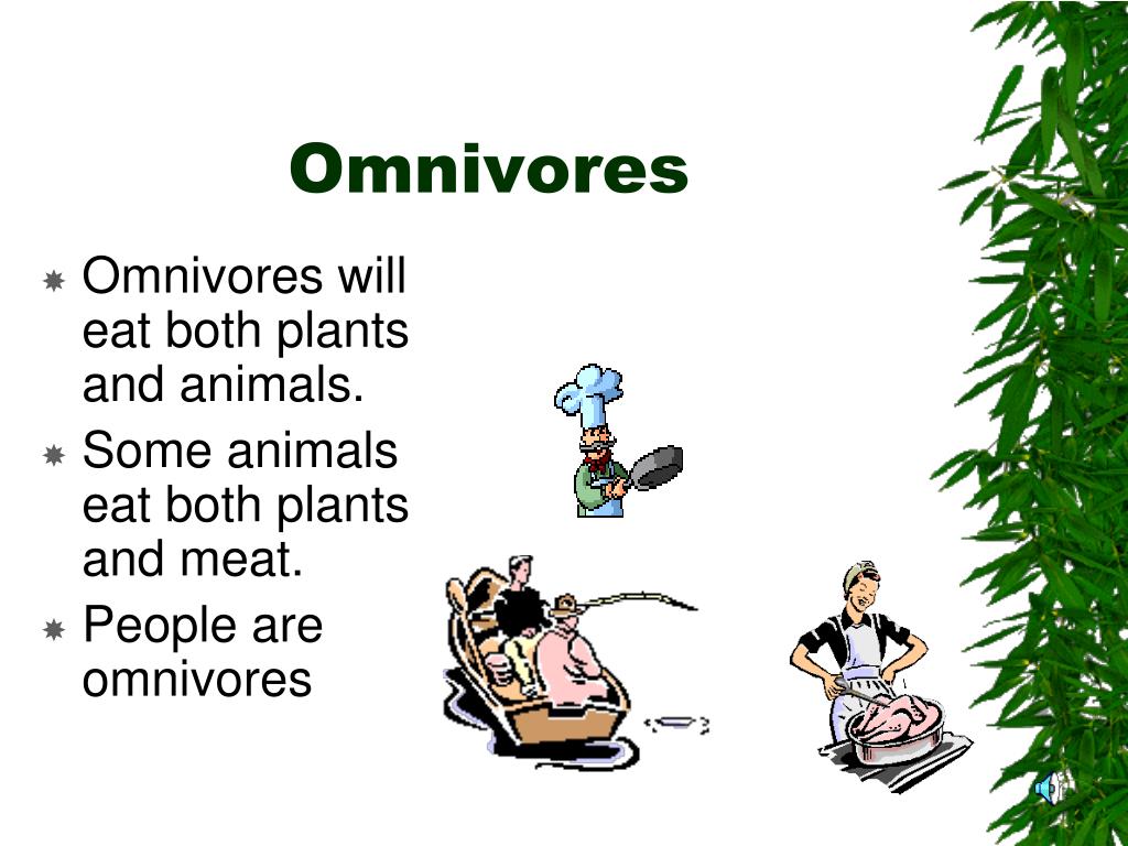 Food Chains PowerPoint Presentation, free download Biology Diagrams