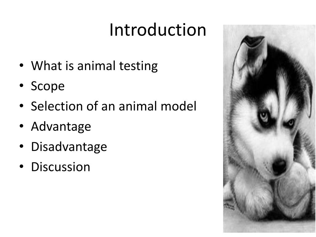 PPT - Animal Testing PowerPoint Presentation, free download - ID:2659599 PPT - Animal Testing PowerPoint Presentation, free download - ID:2659599