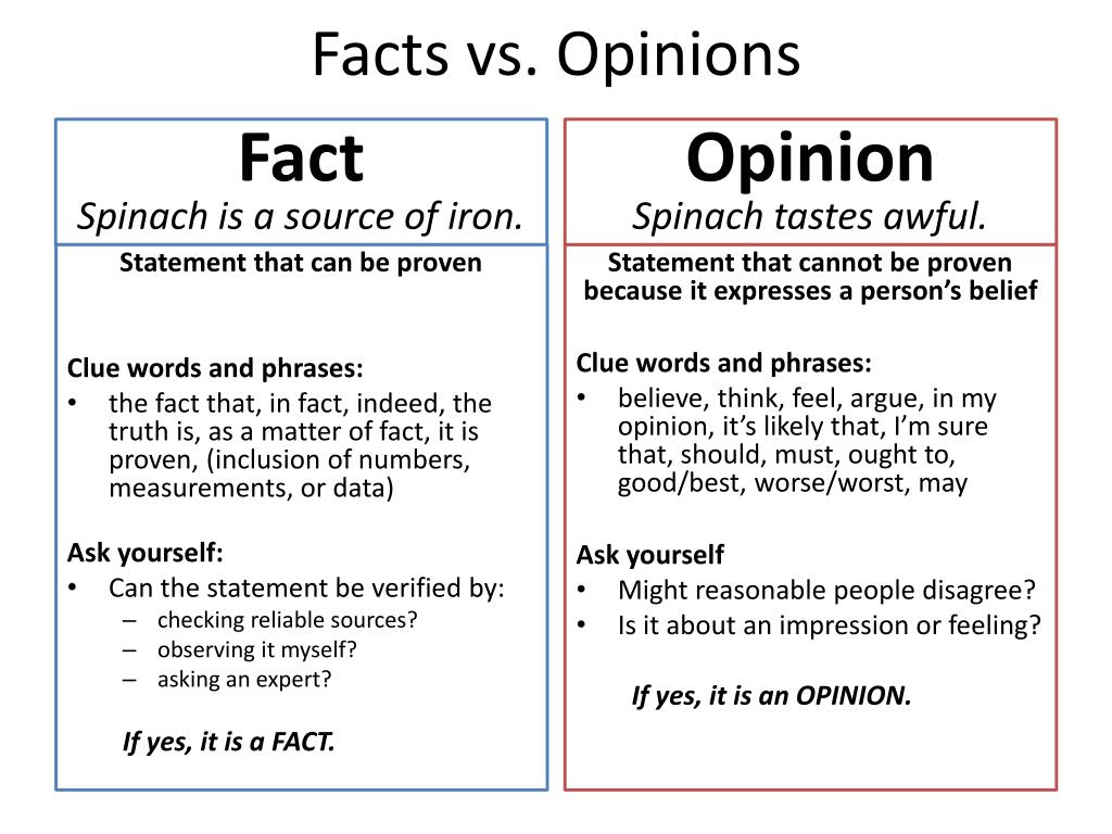 essay about facts and opinions