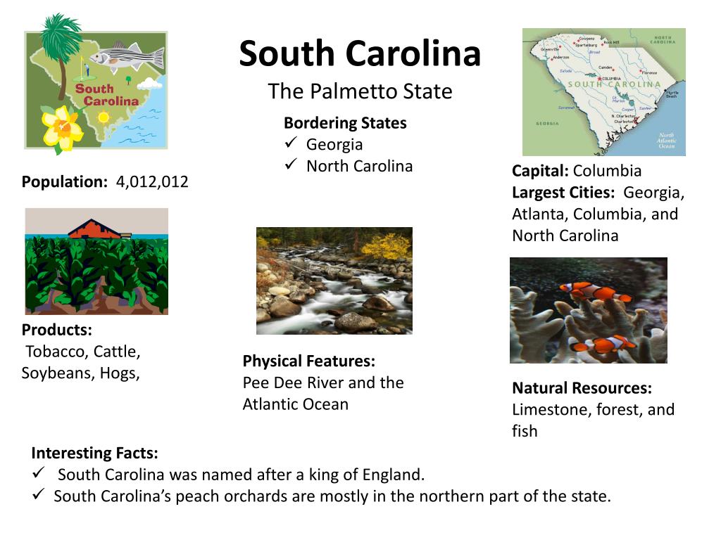 Ppt South Carolina The Palmetto State Powerpoint Presentation Free