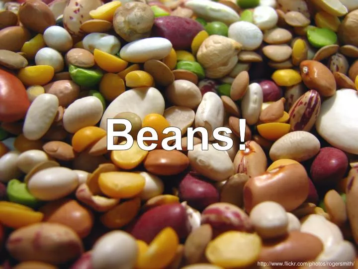 beans n.