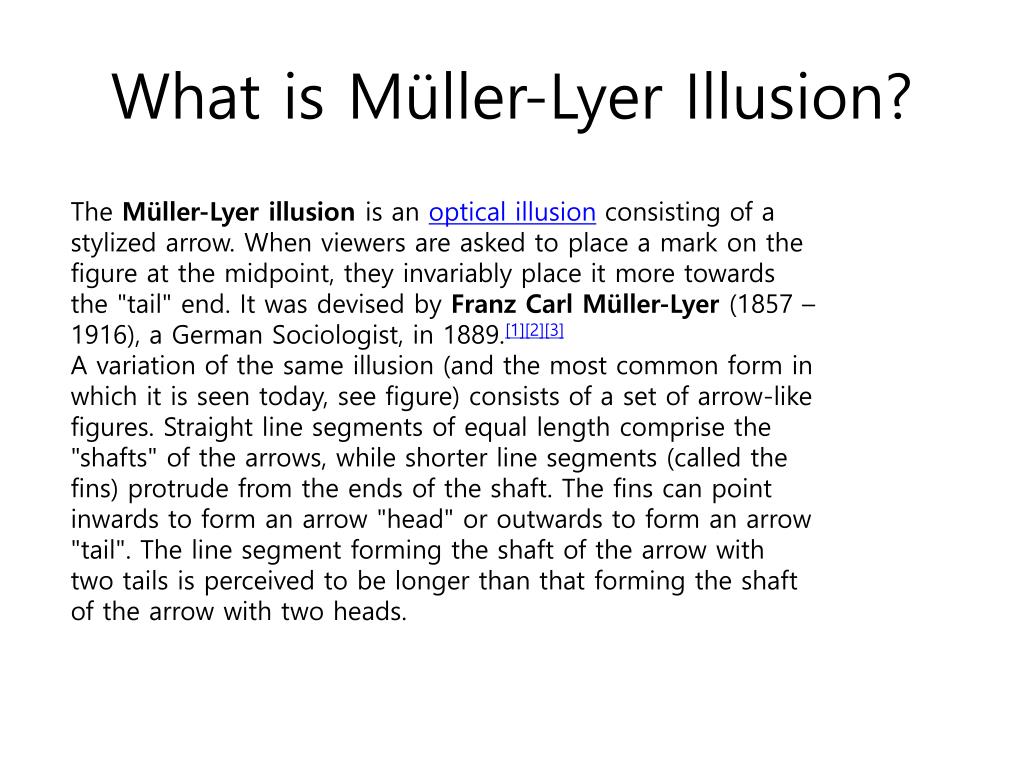 PPT - Müller-Lyer Illusion PowerPoint Presentation, Free Download - ID ...