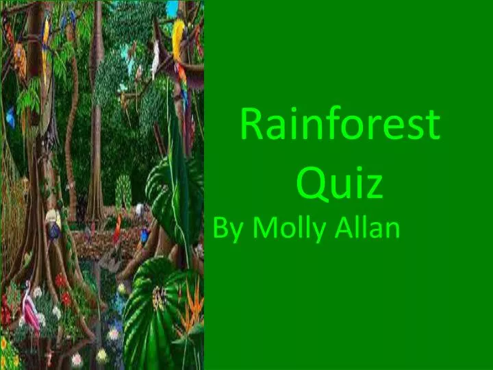 rainforest powerpoint