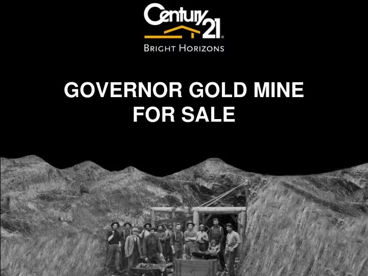 governor gold mine for sale n.