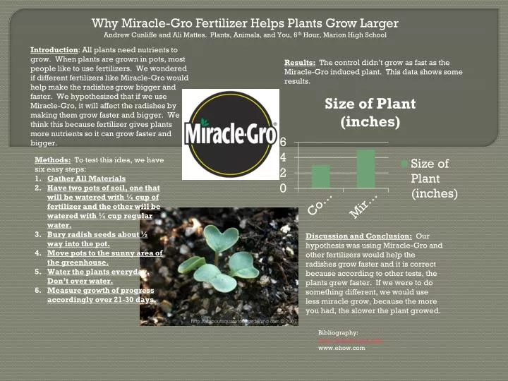 PPT - Why Miracle- Gro Fertilizer Helps Plants Grow Larger PowerPoint