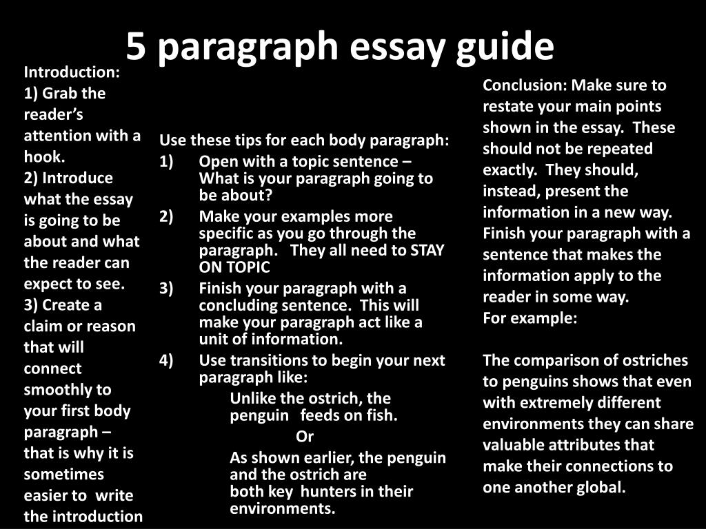 Five Paragraph Essay Guidelines